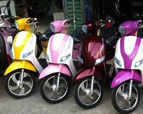 郑州电动车新爆料视频,揭秘安全隐患与监管挑战  第2张