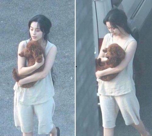 范冰冰爆料张嘉倪视频,视频曝光惊人内幕  第3张